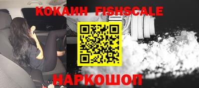 гашик Моздок