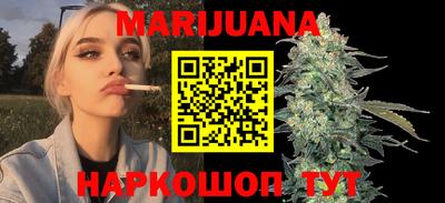 гашик Моздок