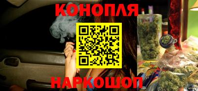 гашик Моздок