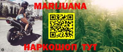 гашик Моздок