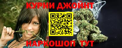 гашик Моздок