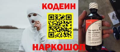 гашик Моздок