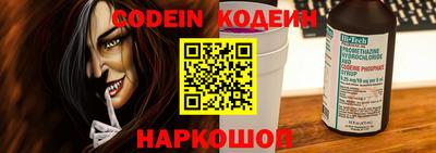 гашик Моздок