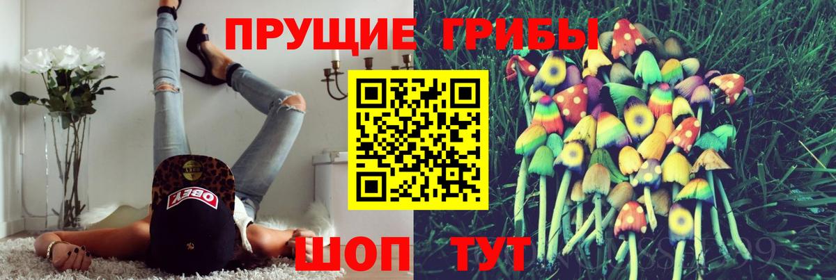 Севастополь  Галлюциногенные грибы Psilocybe  купить наркоту  Псилоцибиновые грибы MAGIC MUSHROOMS  Вход с VPN 